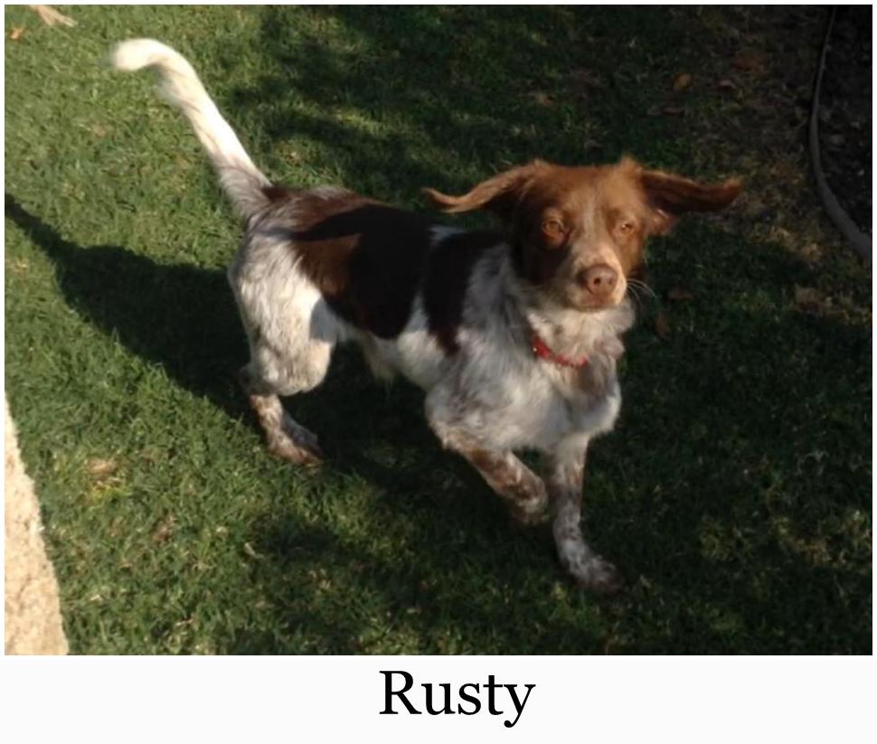 rusty