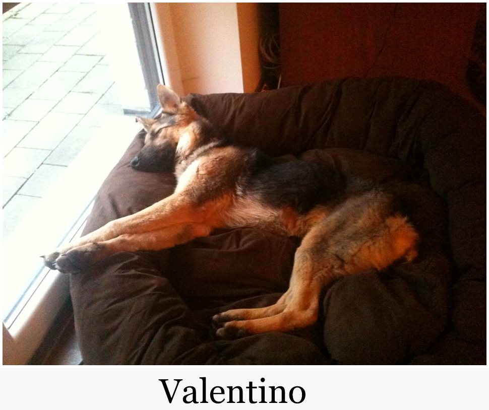 valentino