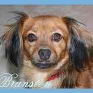 Branston (P)