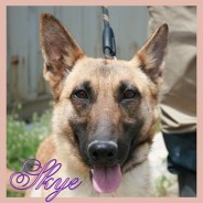 Skye (J)