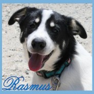 Rasmus (J)