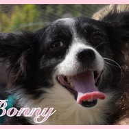 Bonny (J)