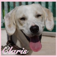 Claris (J)