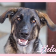 Lulu (J)