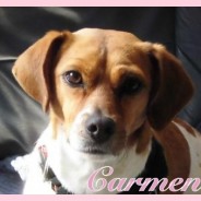 Carmen