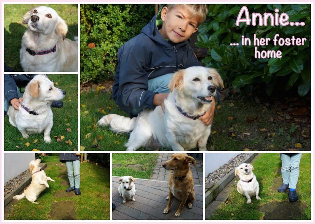 annie-in-fh